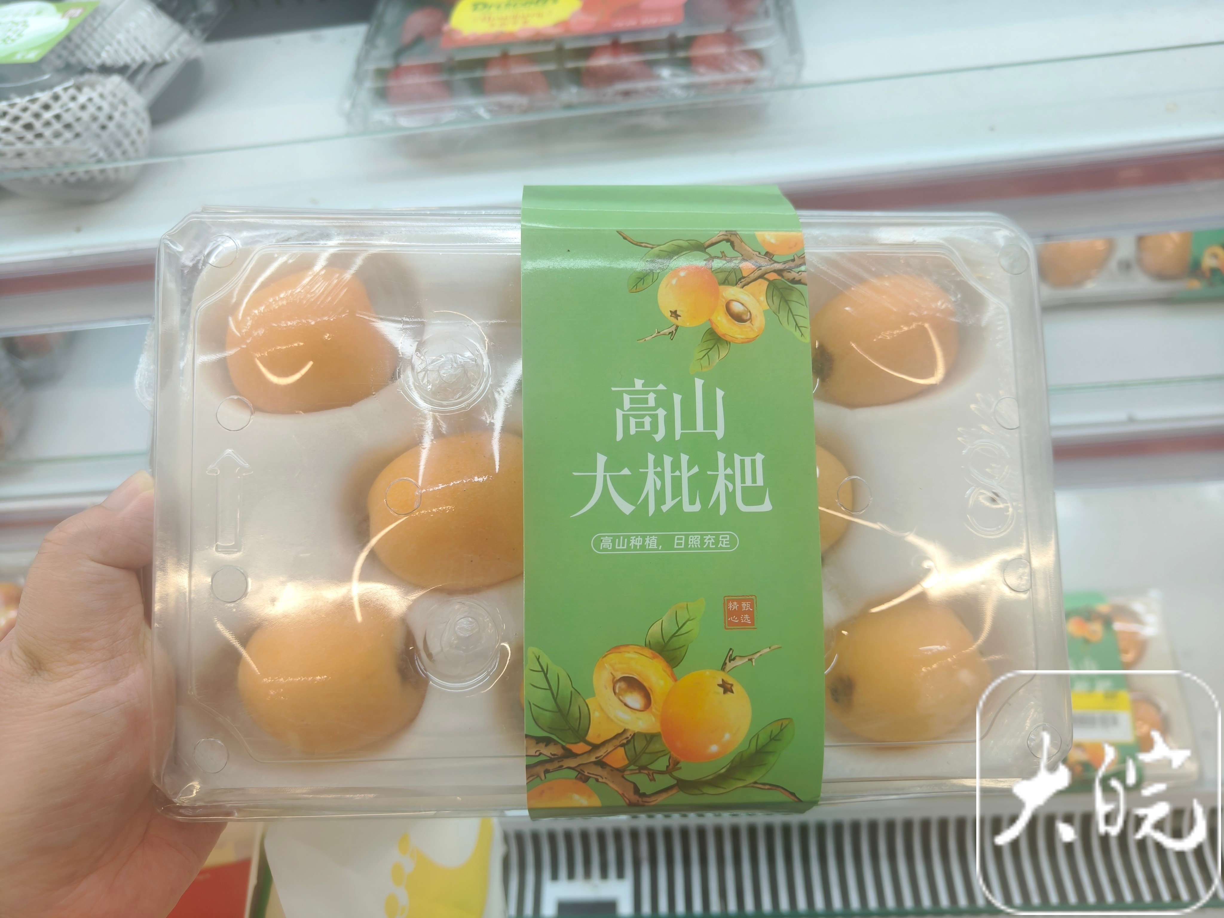 初夏第一果”枇杷小满节气来尝鲜“